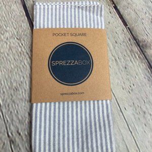 Sprezza Box Stripe Pocket Square Fold